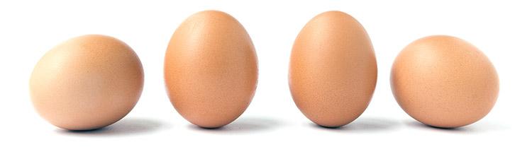 Four eggs on white isolated background in a line, outer two eggs in the line on their sides